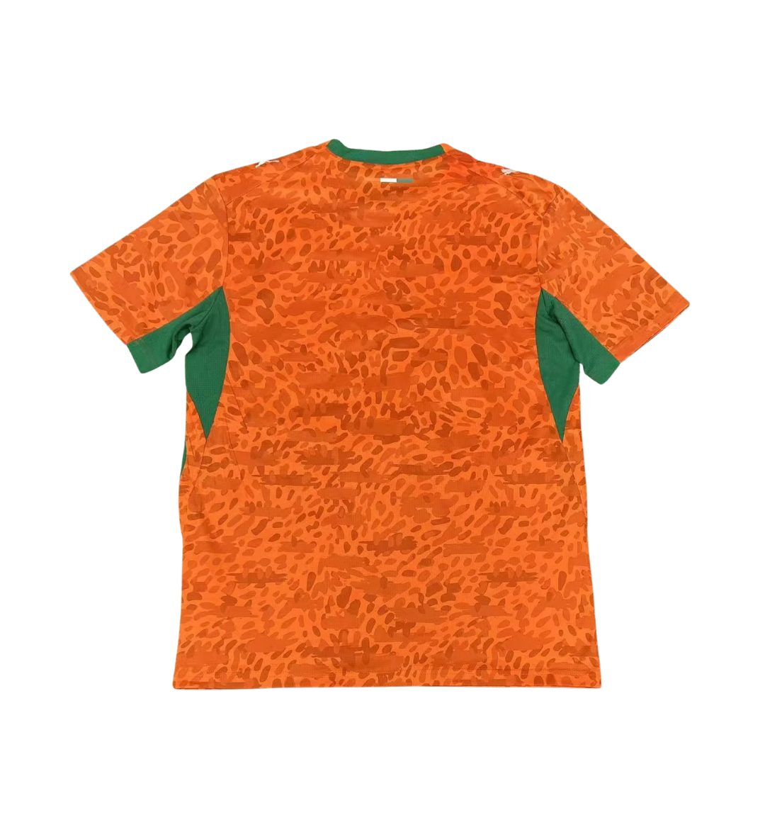 Ivory Coast 2026 Home