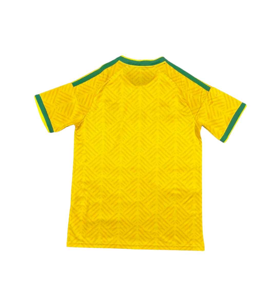 South Africa 2026 Home